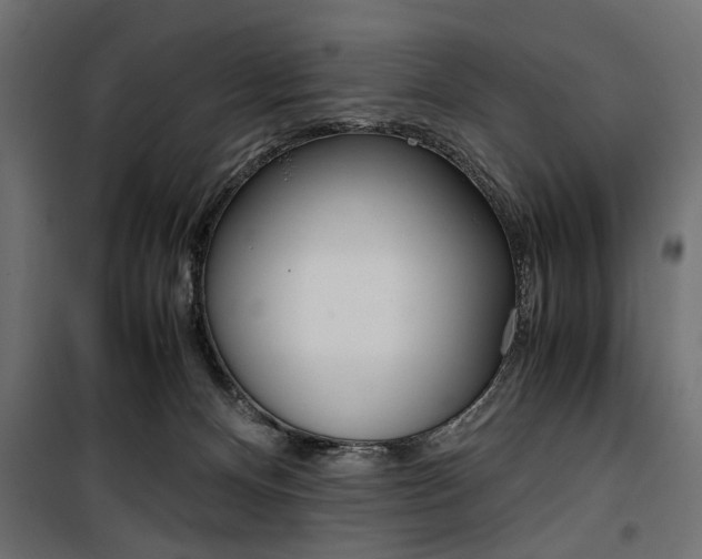 X0000100880128200806201156
