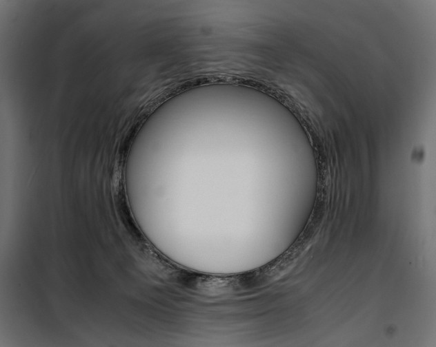 X0000100880129200806201156