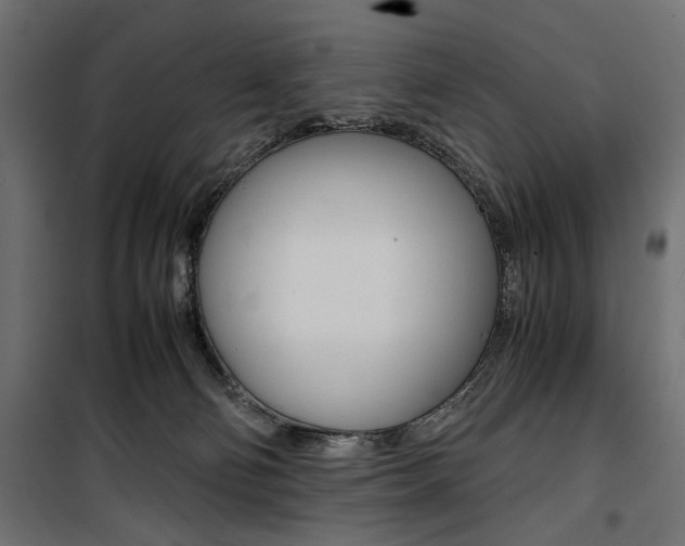 X0000100880130200806201156