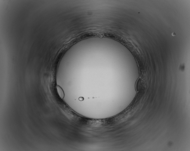 X0000100880131200806201156