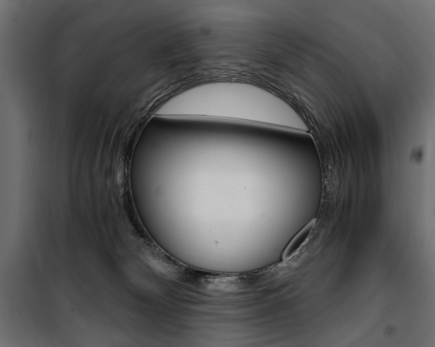 X0000100880132200806201156