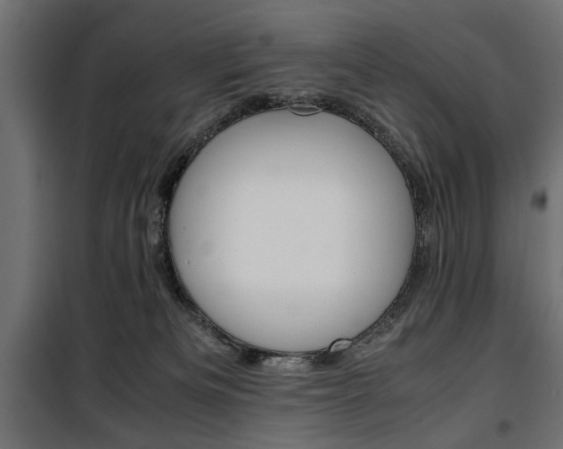 X0000100880133200806201156