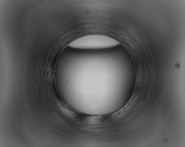 X0000100880136200806201156