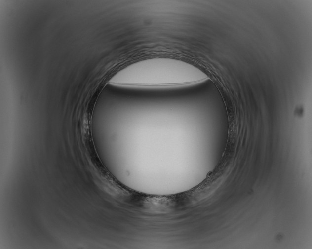 X0000100880137200806201156