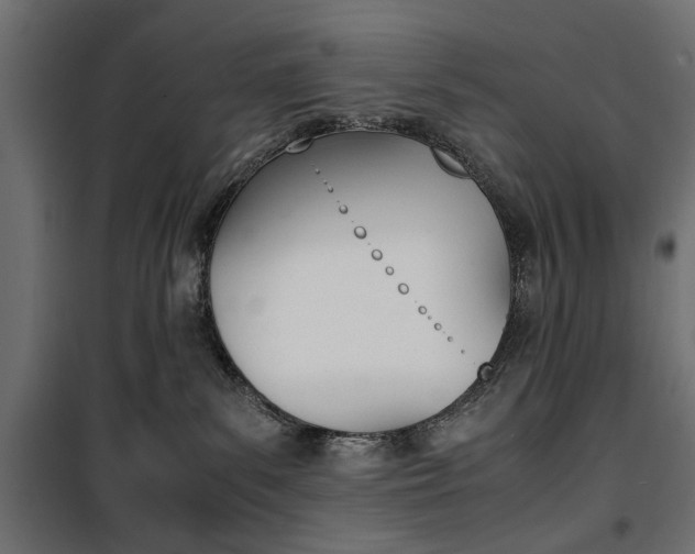 X0000100880139200806201156