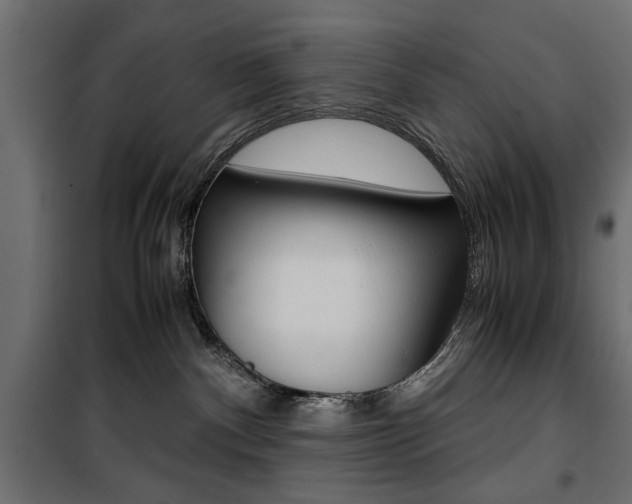 X0000100880140200806201156