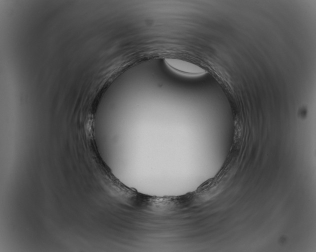 X0000100880141200806201156
