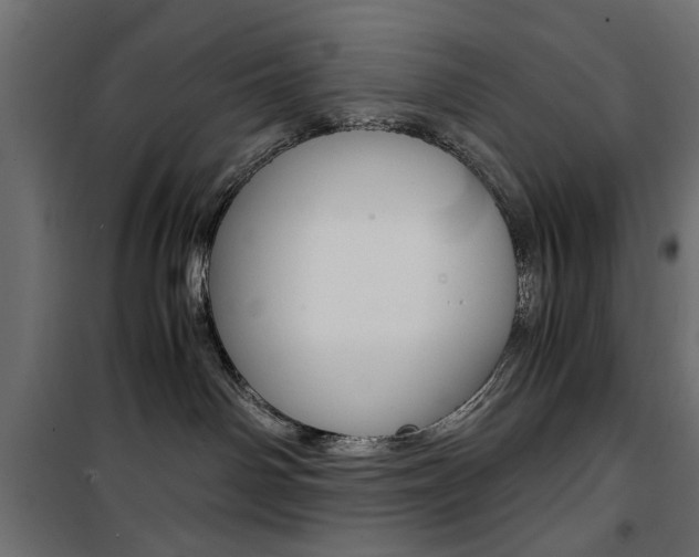 X0000100880142200806201156