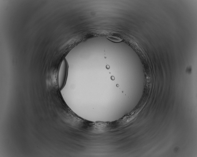 X0000100880143200806201156