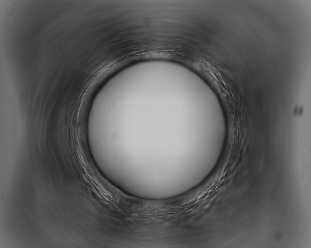 X0000100880145200806201155