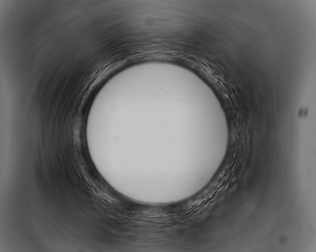 X0000100880146200806201155