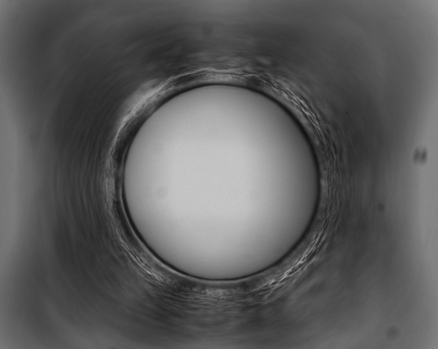 X0000100880149200806201155