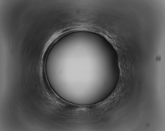 X0000100880152200806201155