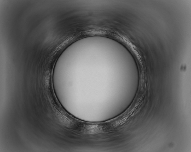 X0000100880153200806201155