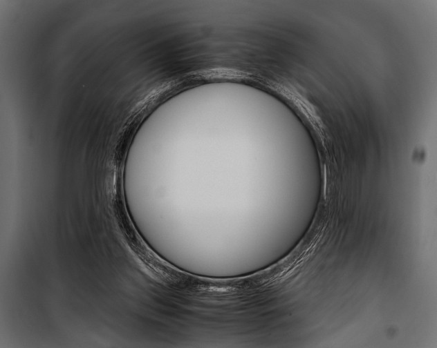 X0000100880157200806201155