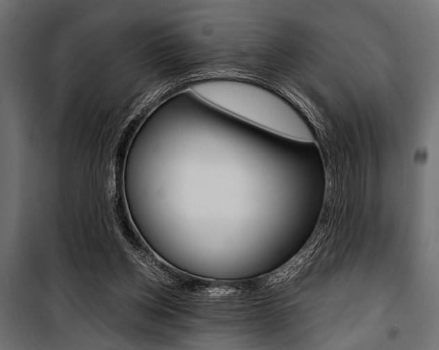 X0000100880158200806201155