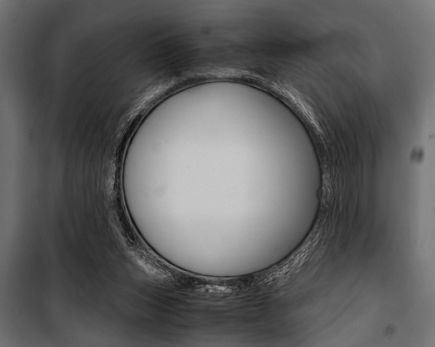 X0000100880159200806201155