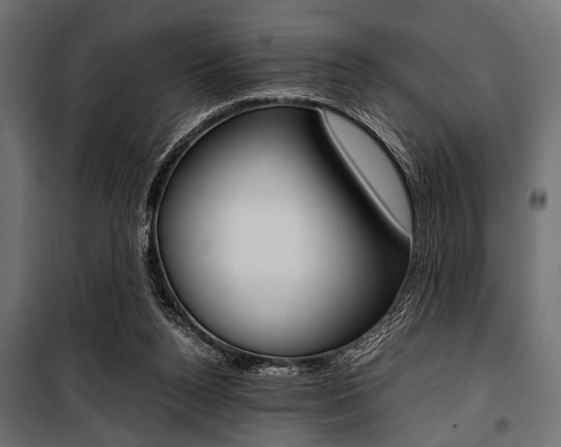 X0000100880160200806201155
