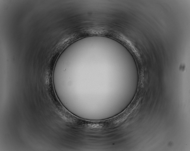X0000100880161200806201155