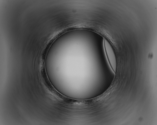 X0000100880164200806201155