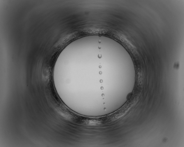 X0000100880165200806201155