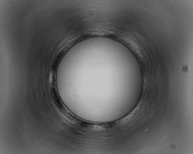 X0000100880166200806201155