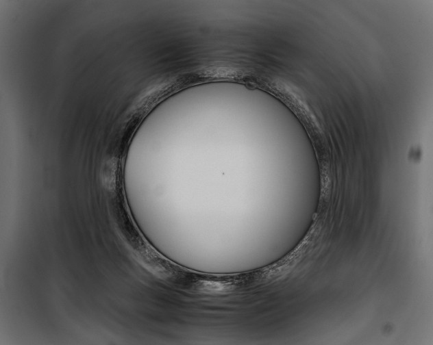 X0000100880167200806201155
