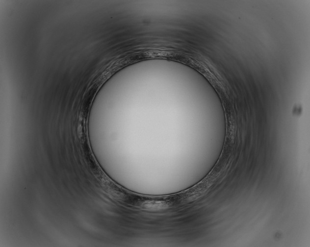 X0000100880169200806201155