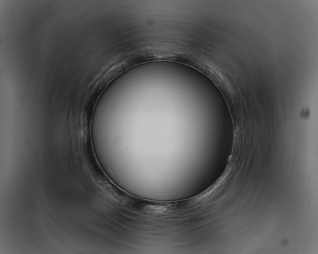 X0000100880170200806201155