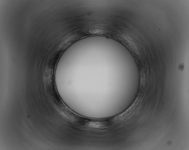 X0000100880171200806201155