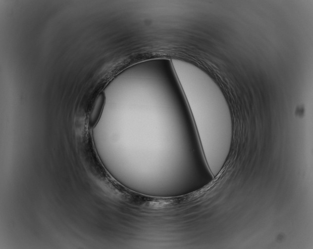 X0000100880172200806201155