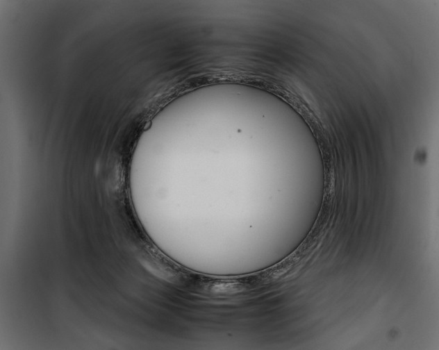 X0000100880173200806201155