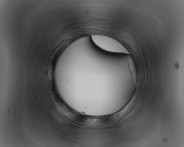 X0000100880174200806201155
