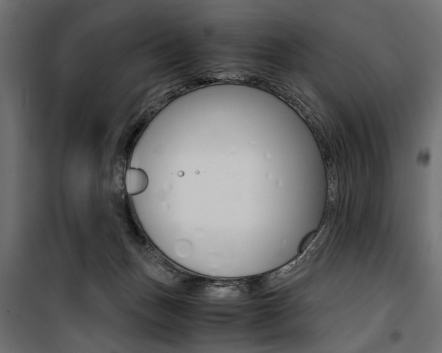 X0000100880175200806201155