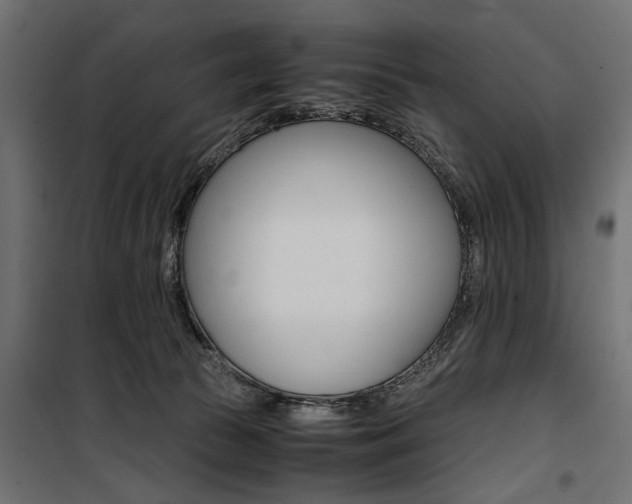 X0000100880177200806201155