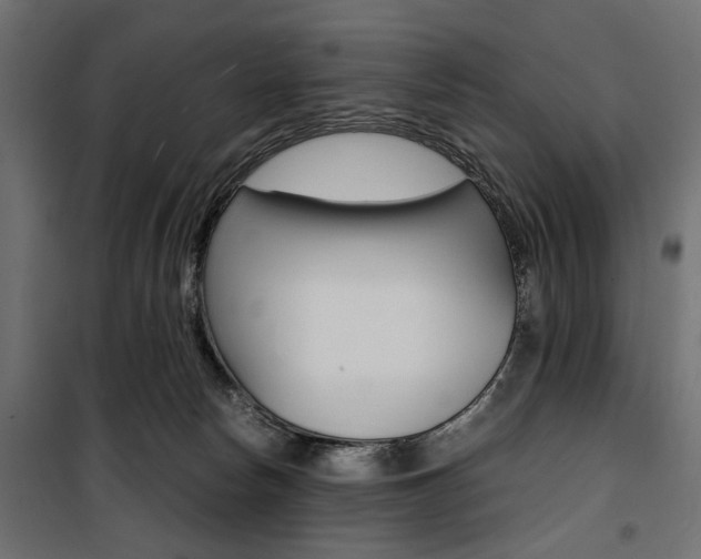 X0000100880178200806201155