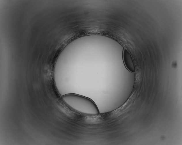 X0000100880179200806201155
