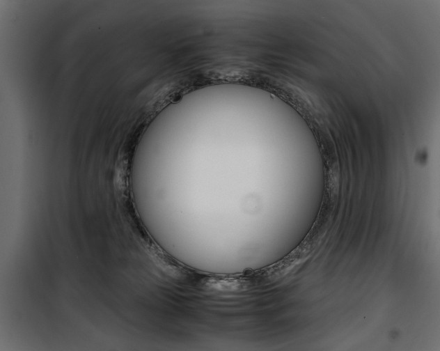 X0000100880181200806201155