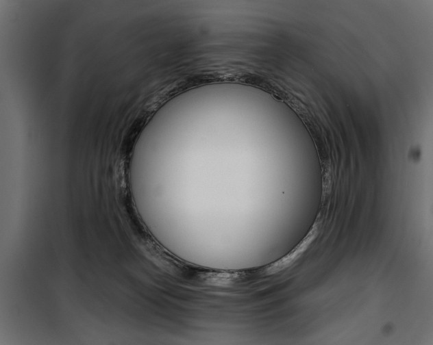X0000100880182200806201155