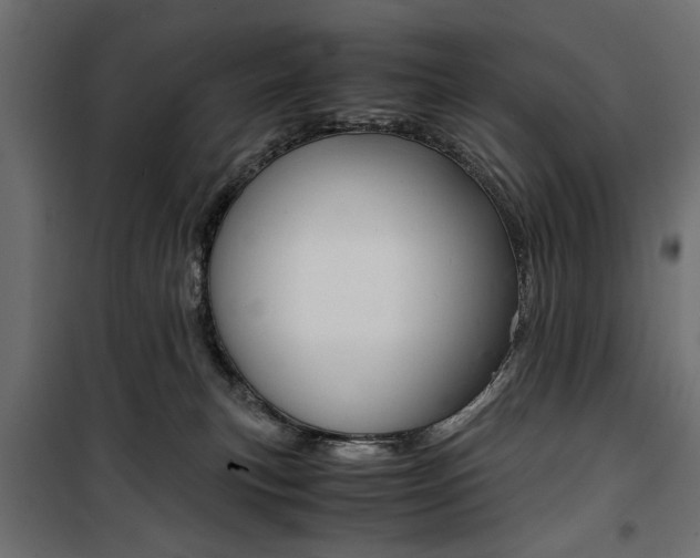 X0000100880183200806201155