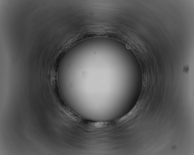 X0000100880184200806201155
