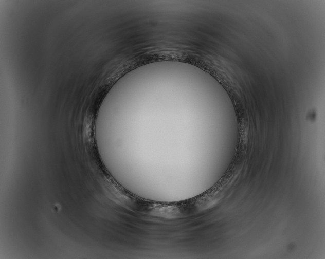 X0000100880185200806201155