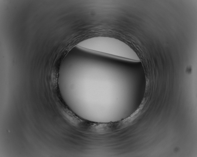X0000100880186200806201155