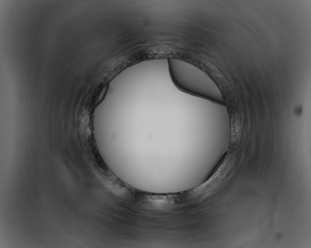 X0000100880187200806201155