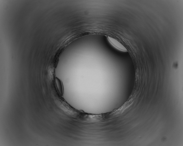 X0000100880188200806201155