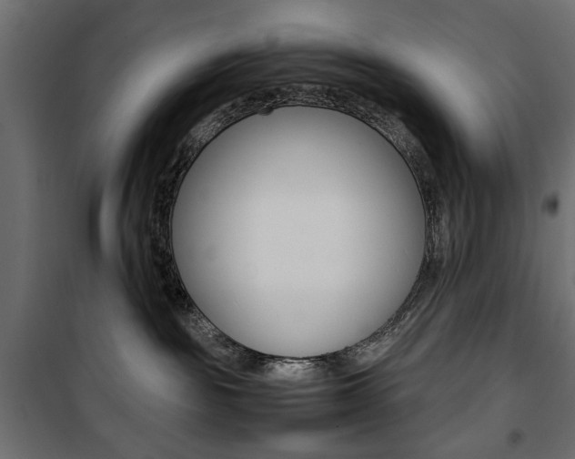 X0000100880189200806201155