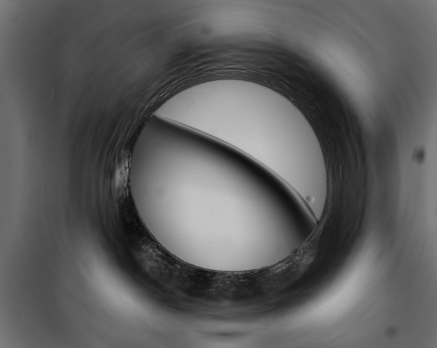 X0000100880190200806201155