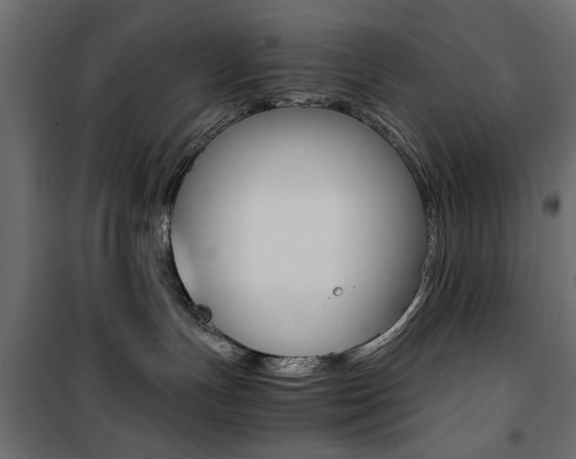 X0000100880191200806201155