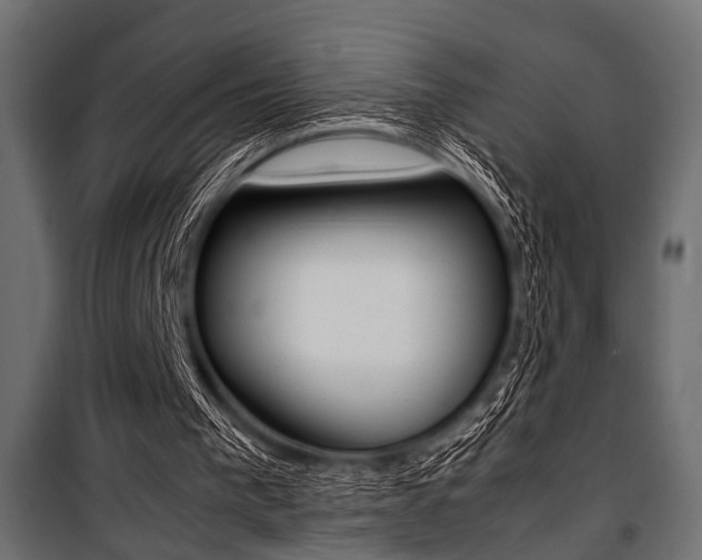 X0000100880193200806201155