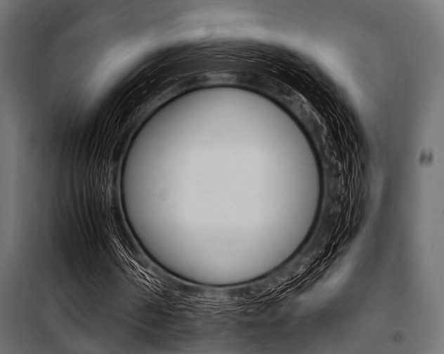 X0000100880194200806201155
